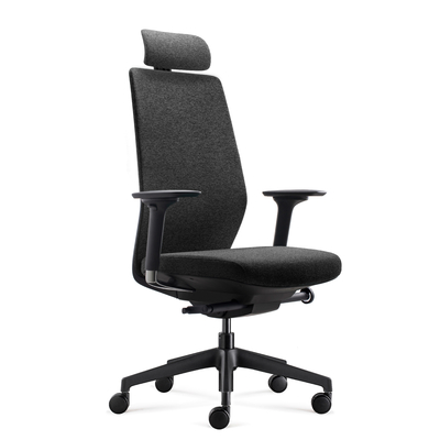 acheter Chaise de bureau à dos en maille moderne à double couche avec support lombaire réglable online manufacture